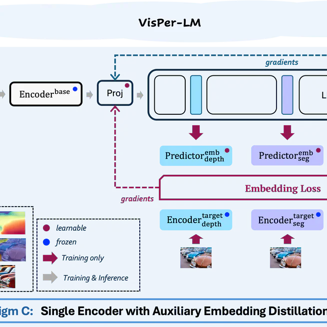 Elevating Perception in Multimodal LLMs with Auxiliary Embedding Distillation